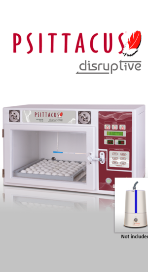 disruptive incubator