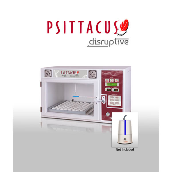 incubator disruptive Psittacus