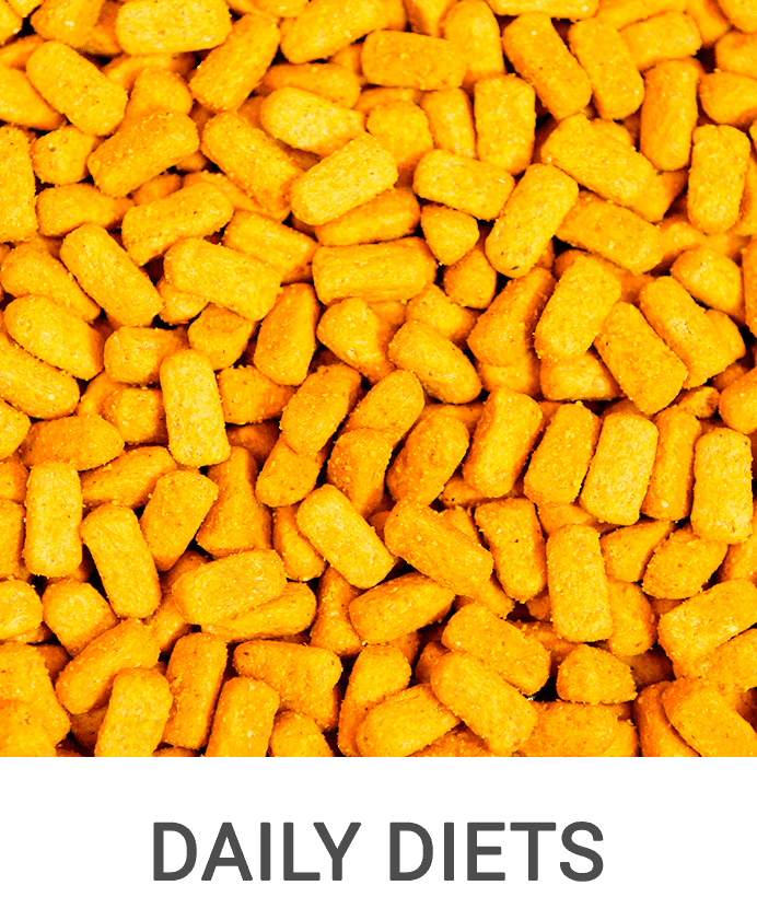 daily diets psittacus